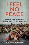 I Feel No Peace - Kaamil Ahmed - 9781787389311
