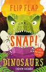 Flip Flap Snap: Dinosaurs - Joanna McInerney - 9781787412361
