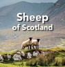 Sheep of Scotland - Sarah O'Connor - 9781788495981