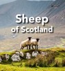 Sheep of Scotland - Sarah O'Connor - 9781788495981