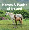 Horses and Ponies of Ireland - Sarah O'Connor - 9781788496490