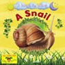 A Snail - Ruth Owen - 9781788564380