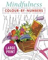 Mindfulness Colour-by-Numbers Large Print - Arcturus Publishing Limited - 9781789500486