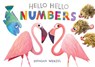 Hello Hello Numbers -  - 9781797219974