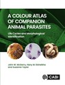 A Colour Atlas of Companion Animal Parasites - John (University of Liverpool McGarry ; Hany (University of Nottingham Elsheikha ; Suzanne (ESCCAP UK & Ireland Secretariat) Taylor - 9781800627345