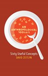 An Anthropological Toolkit - David Zeitlyn - 9781800735354