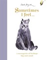 Sometimes I Feel... - Sarah Maycock - 9781800781283