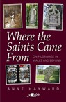 Where the Saints Came From - Anne Hayward - 9781800994867