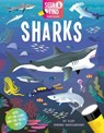 Seek and Find Sharks - Kit Elliot - 9781801052849