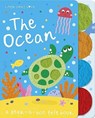 Little Ones Love the Ocean - Holly Hall - 9781801057677