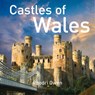 Castles of Wales - Rhodri Owen - 9781802584356