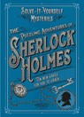 The Puzzling Adventures of Sherlock Holmes - Tim Dedopulos - 9781802790917