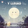 Y Noson Ddiflannodd y Lleuad / The Night the Moon Went Missing - Brendan Kearney - 9781804163009