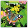 Butterflies 2026 Square Wall Calendar - Red Robin - 9781804427125