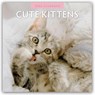 Cute Kittens 2026 Square Wall Calendar - Red Robin - 9781804427200