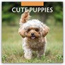 Cute Puppies 2026 Square Wall Calendar - Red Robin - 9781804427217