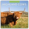 Highland Cows 2026 Square Wall Calendar - Red Robin - 9781804427347