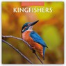 Kingfishers 2026 Square Wall Calendar - Red Robin - 9781804427361