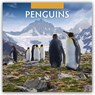 Penguins 2026 Square Wall Calendar - Red Robin - 9781804427453