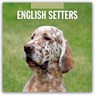English Setters 2026 Square Wall Calendar - Red Robin - 9781804428054