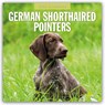 German Shorthaired Pointers 2026 Square Wall Calendar - Red Robin - 9781804428122