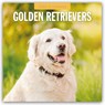 Golden Retrievers 2026 Square Wall Calendar - Red Robin - 9781804428146