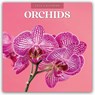 Orchids 2026 Square Wall Calendar - Red Robin - 9781804429327