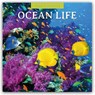Ocean Life 2026 Square Wall Calendar - Red Robin - 9781804429945