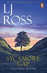Sycamore Gap - LJ Ross - 9781804960165