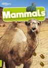 Mammals - Charlie Ogden - 9781805050773
