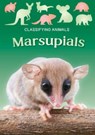 Marsupials - Madeline Tyler - 9781805053859