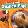 Guinea Pigs - Rebecca Phillips-Bartlett - 9781805057512