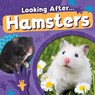 Hamsters - Rebecca Phillips-Bartlett - 9781805057529