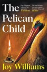 The Pelican Child - Joy Williams - 9781805228578