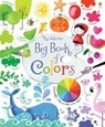 Brooks, F: Big Book of Colors - Felicity Brooks - 9781805318101