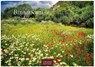 Blumenwiese Kalender 2026 - Wandkalender | Fotokalender Naturkalender 24x35cm | Wunderschöne Fotos der blühenden Natur -  - 9781835245521