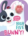 High Five Bunny! A count-and-squeak book. - Robin Baines - 9781835551288