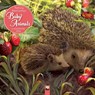 Patricia MacCarthy's Baby Animals Wall Calendar 2026 (Art Calendar) -  - 9781835623558