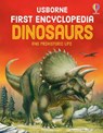 First Encyclopedia of Dinosaurs - Sam Taplin - 9781836044871