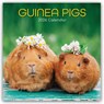 Guinea Pigs - Meerschweinchen 2026 - 16-Monatskalender -  - 9781836223849