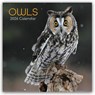 Owls - Eulen 2026 - 16-Monatskalender -  - 9781836223924