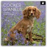 Cocker Spaniels 2026 - 16-Monatskalender -  - 9781836224174