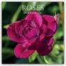 Roses - Rosen 2026 - 16-Monatskalender -  - 9781836224990