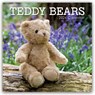 Teddy Bears - Teddybären 2026 - 16-Monatskalender -  - 9781836225775