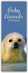 Baby Animals - Tierkinder - Slimline-Kalender 2026 -  - 9781836227304