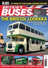 Britain's Buses (Vol 9) - Alan Millar - 9781836320128