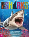 Fact Explorer Sharks - Alexander Cox - 9781836421177