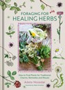 Foraging for Healing Herbs: How to Find Plants for Charms, Remedies and Rituals - Adele Nozedar - 9781836810216