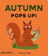 Autumn Pops Up! - Aurore Petit - 9781837292080