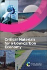 Critical Materials for a Low-carbon Economy - David Segal - 9781837674954